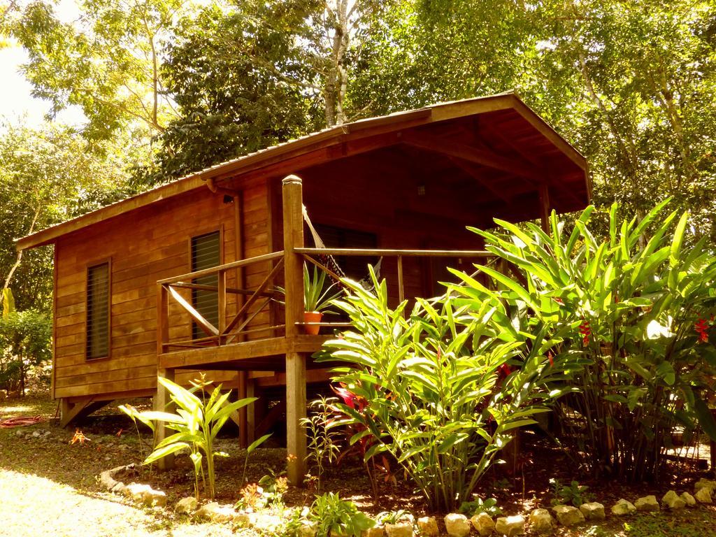 Vanilla Hills Resort San Ignacio Room photo