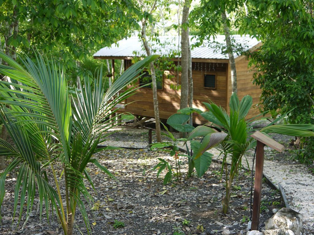 Vanilla Hills Resort San Ignacio Exterior photo